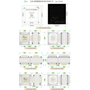 ZS-10030 100W通用推挽牛